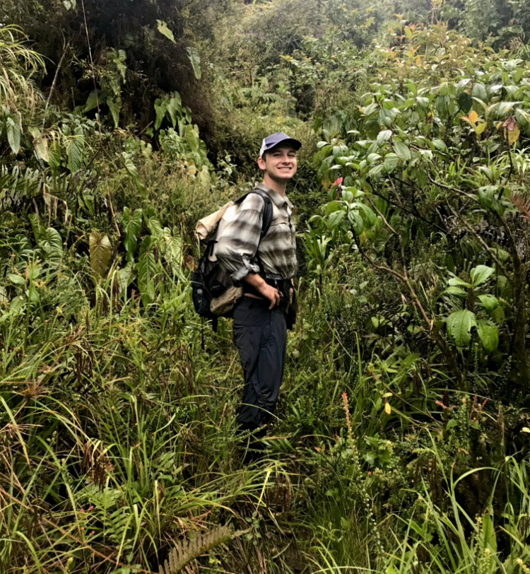 Cloud forest in Sumaco National Park.